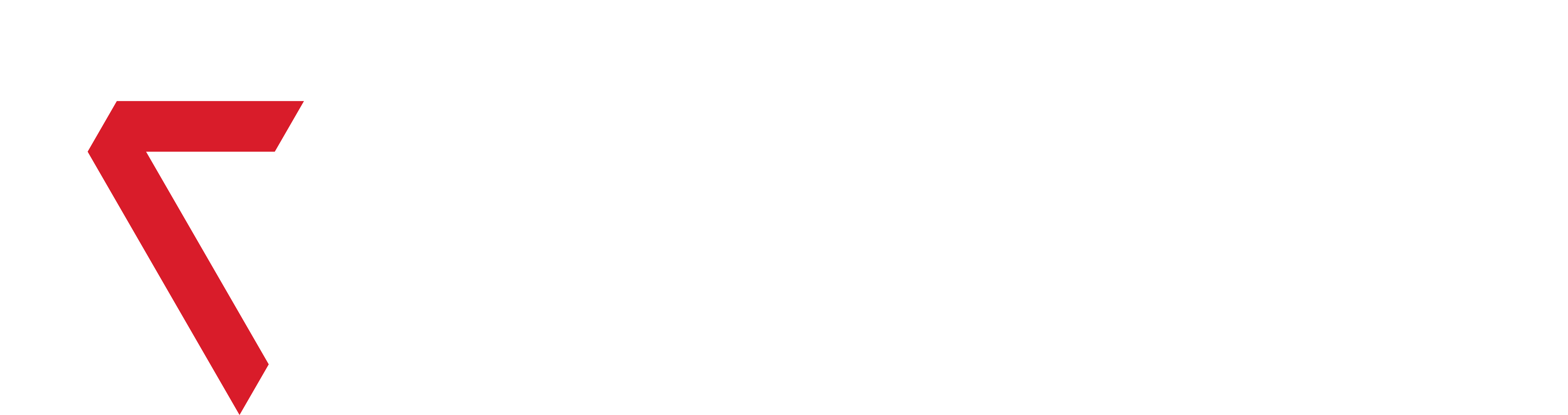 logo raytec