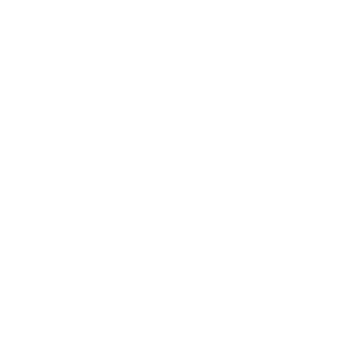 logo findface