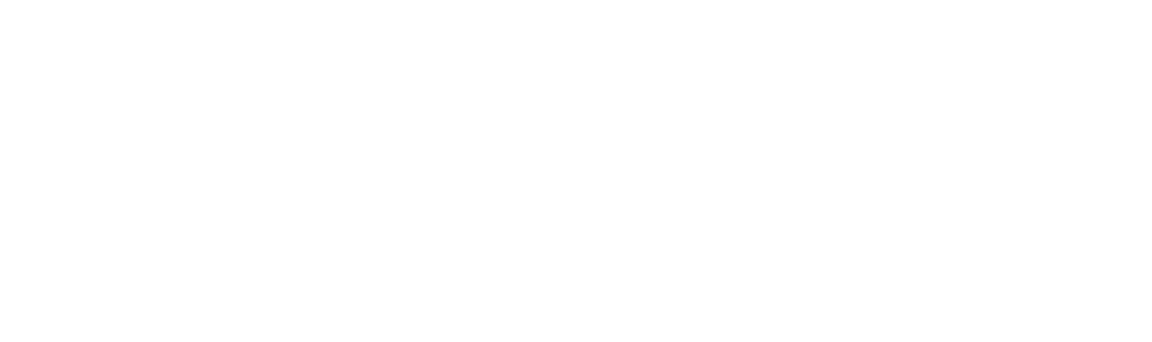 logo magnet